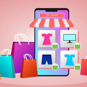 Dropship and Ecommerce Website Packages